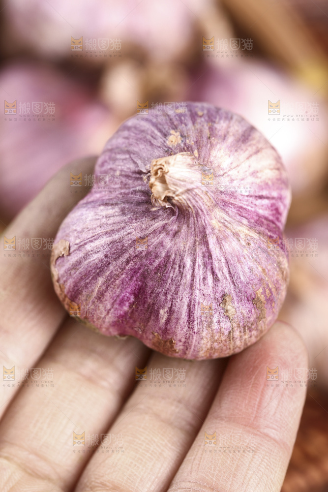 手里拿着紫皮蒜