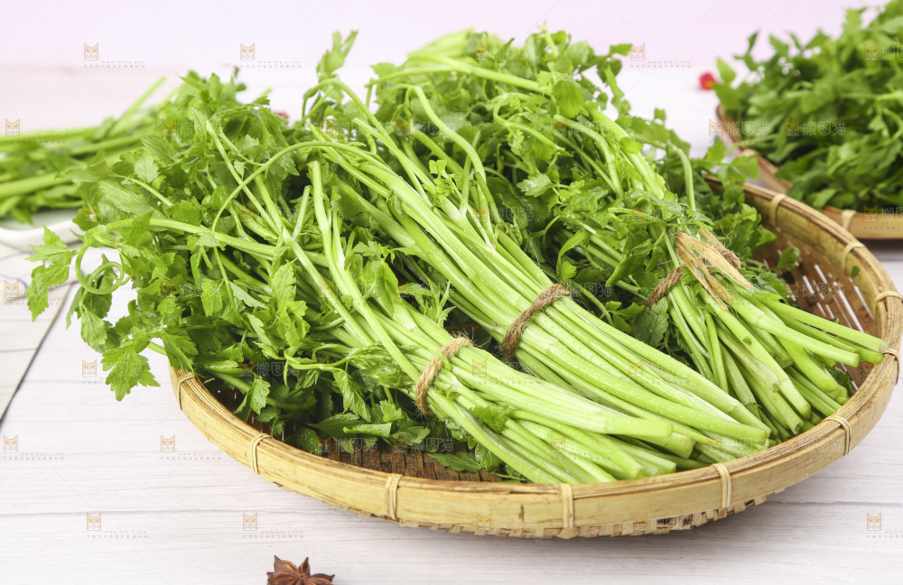 白底上放着一篮新鲜水芹菜