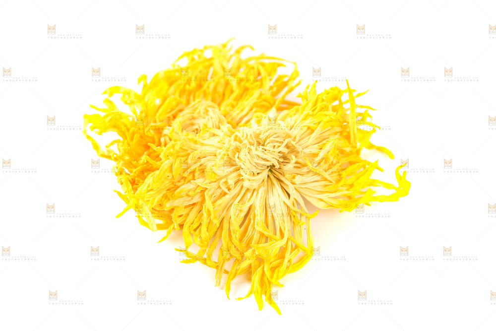 白底上放着金丝皇菊