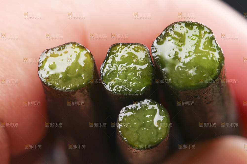 手里拿着蕨菜