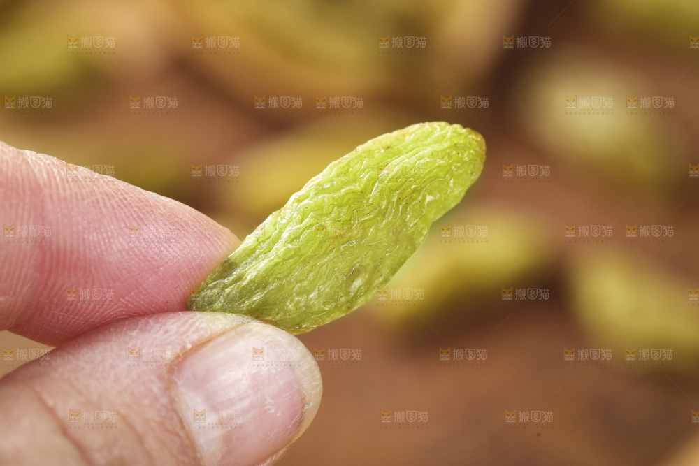 手里拿着绿葡萄干