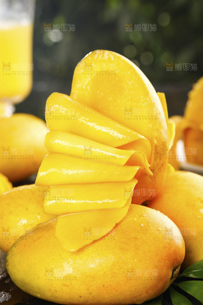 黑底上的海南小台芒