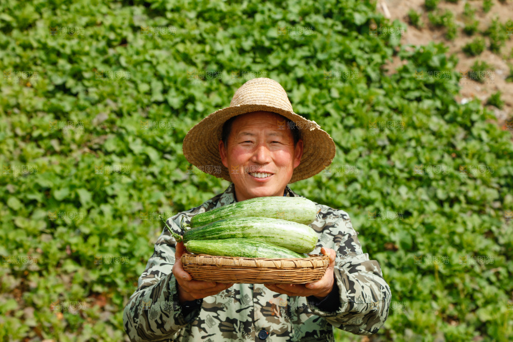 农民手里端着一篮新鲜羊角蜜