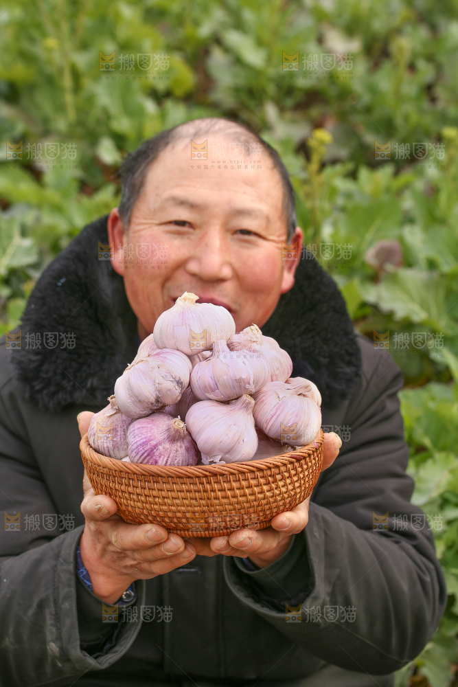 农民手里端着大蒜