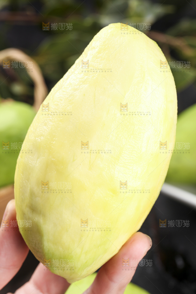 手里拿着酸芒果