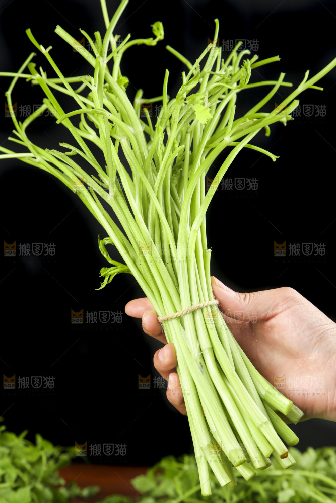 手里拿着水芹菜