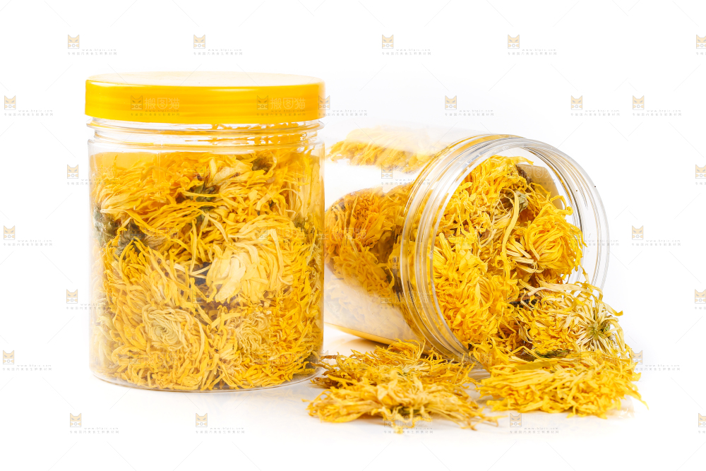 瓶子里着着金丝皇菊