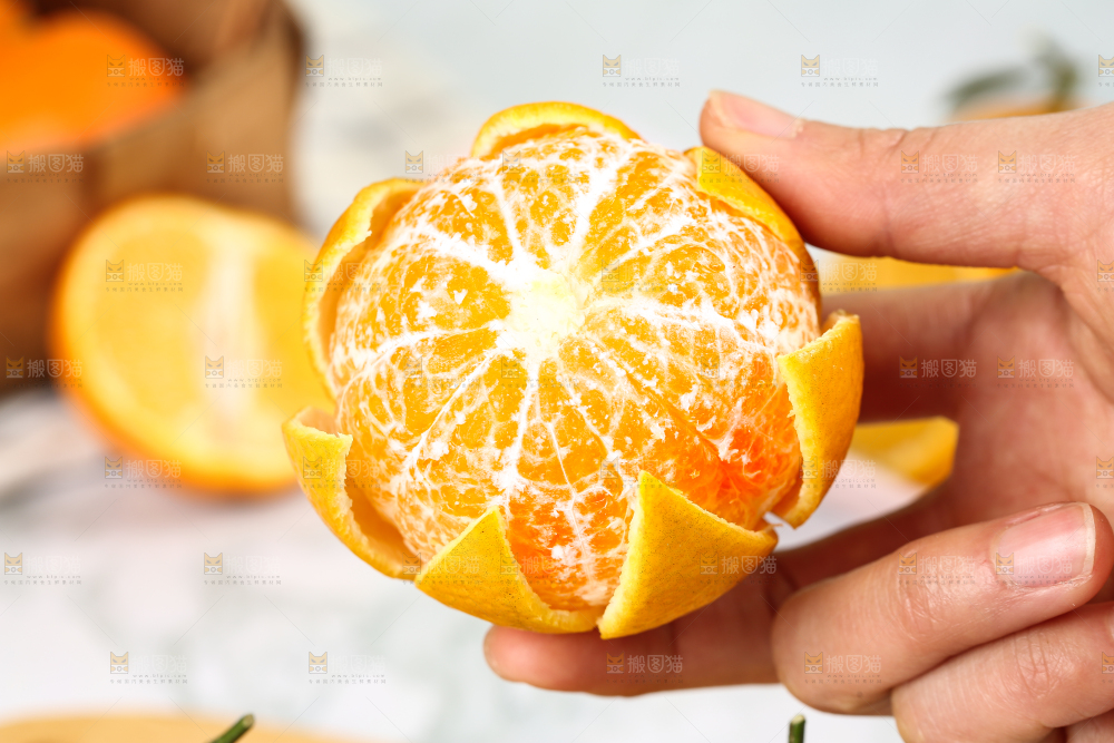 手里拿着贡柑