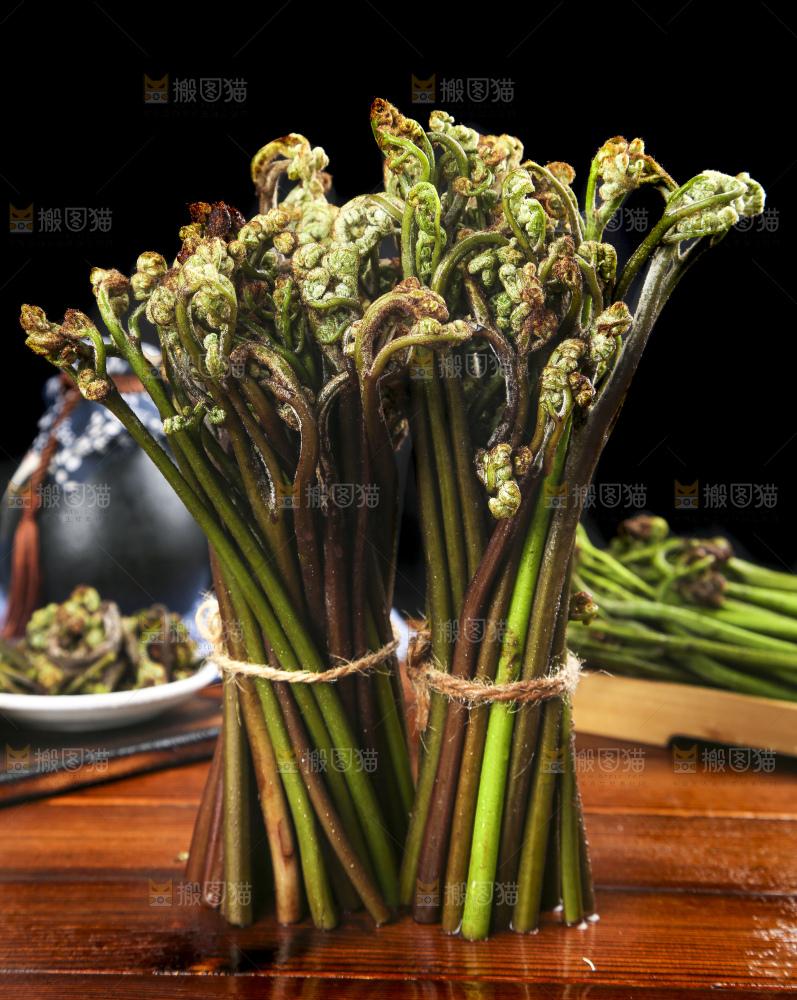 木底上的蕨菜