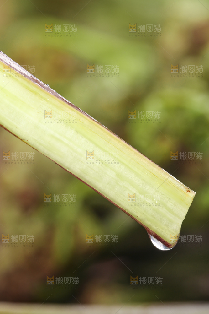 切开的蕨菜