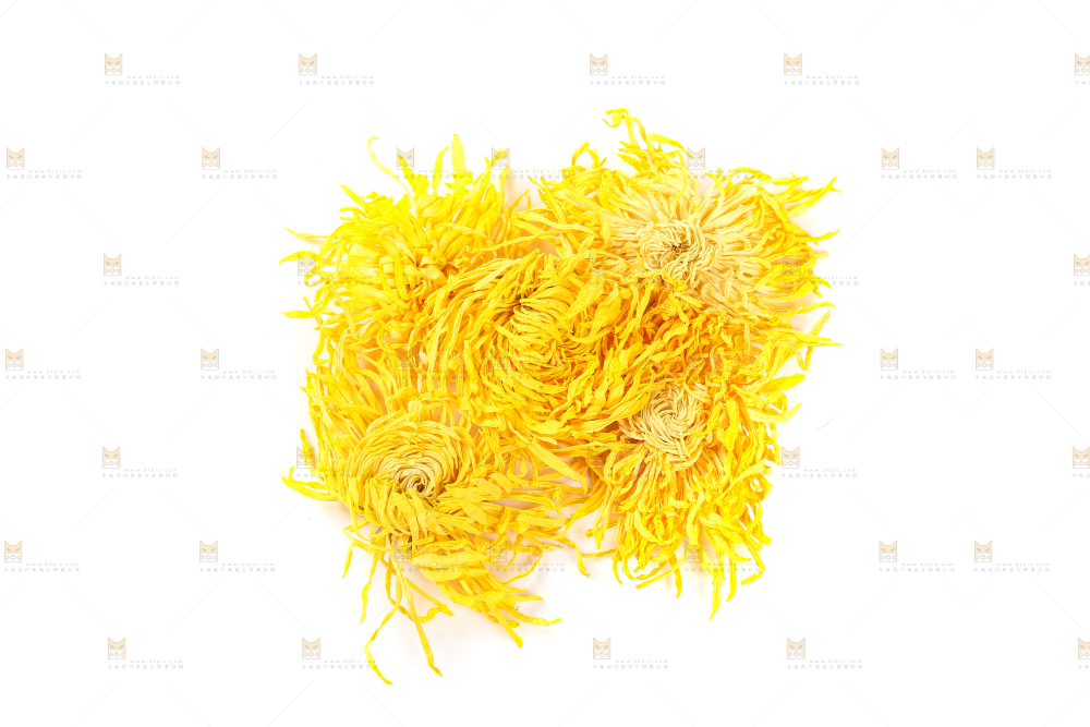 白底上放着贡菊