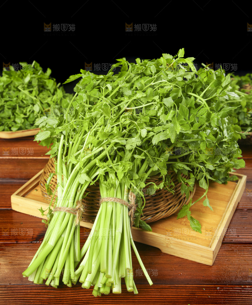 木底上的野芹菜
