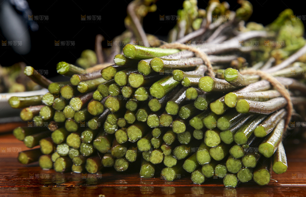 木底上的蕨菜