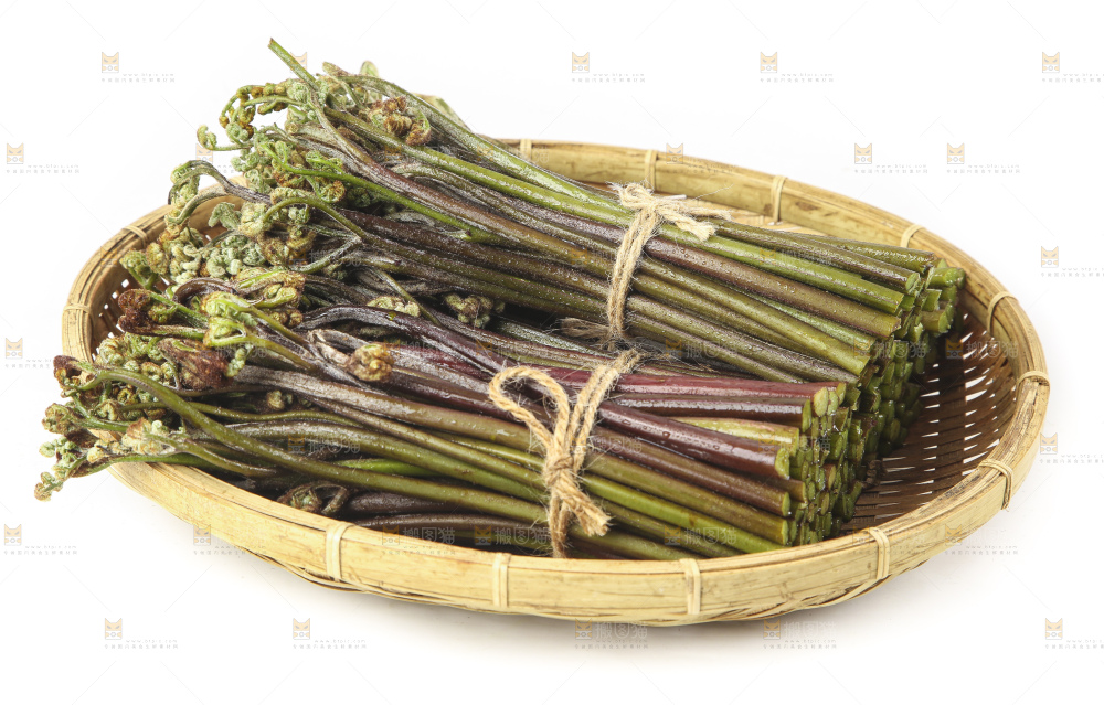 白底上放着一篮新鲜蕨菜