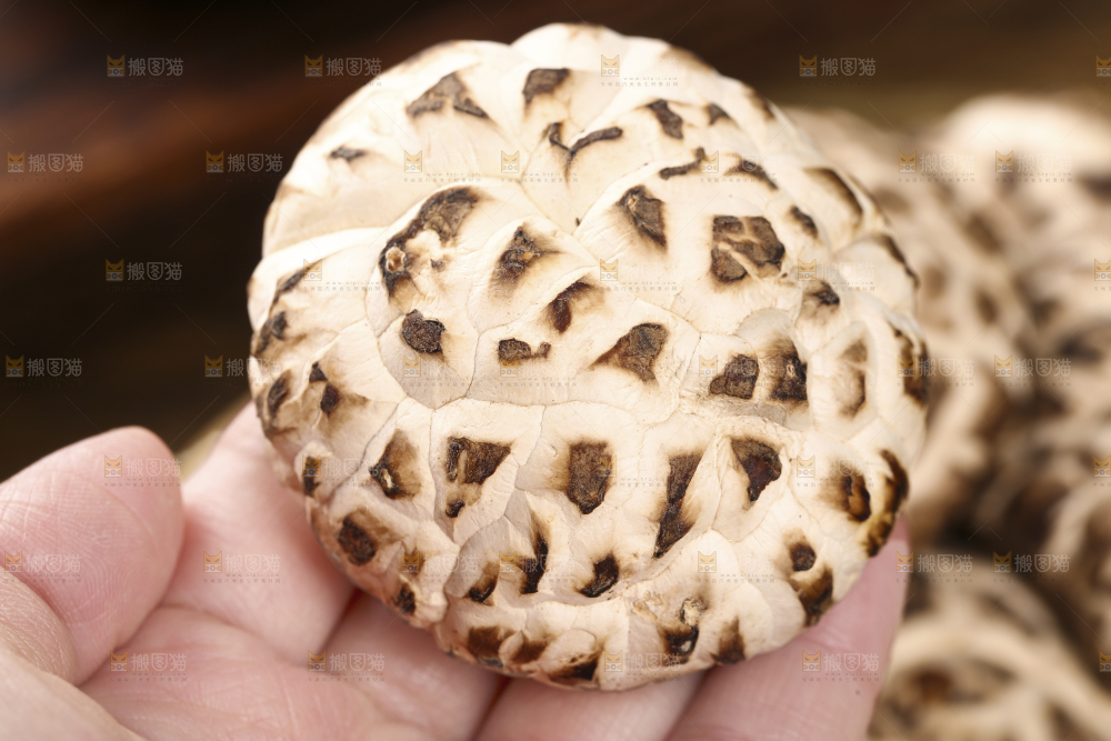 手里拿着花菇