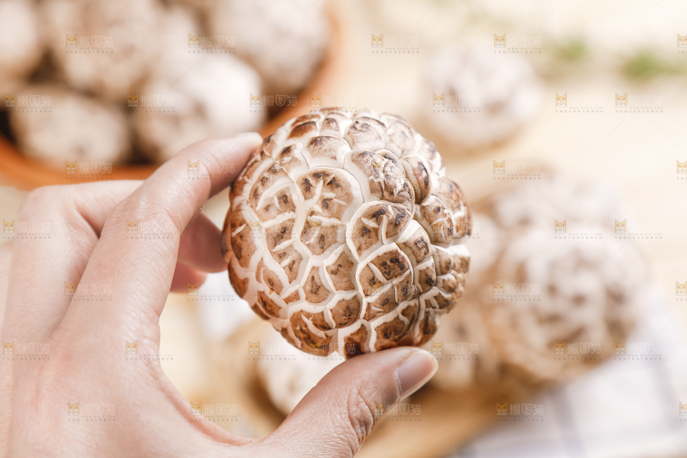 手里拿着冬菇