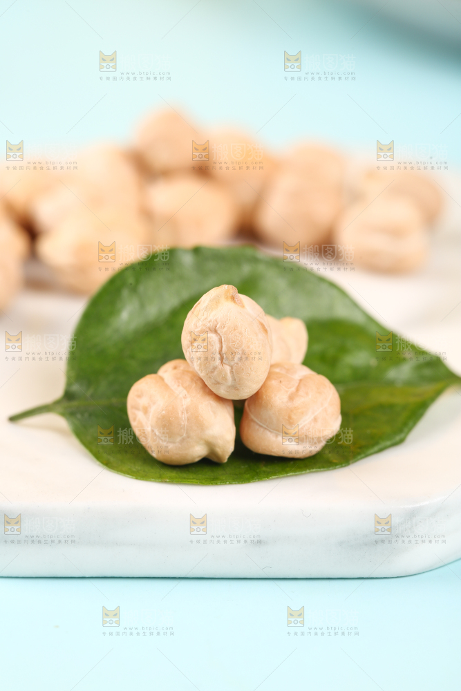 叶子上的鹰嘴豆