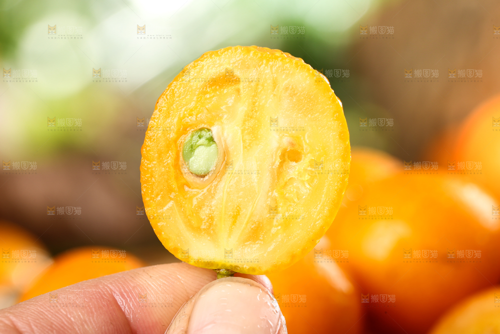 手里拿着金桔