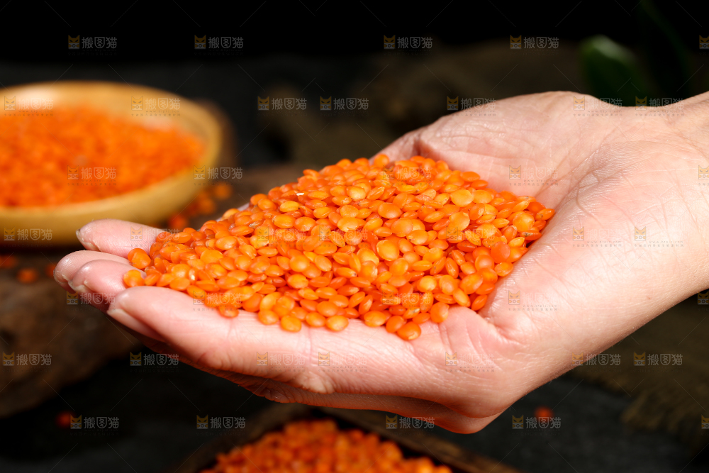 手里捧着红小扁豆