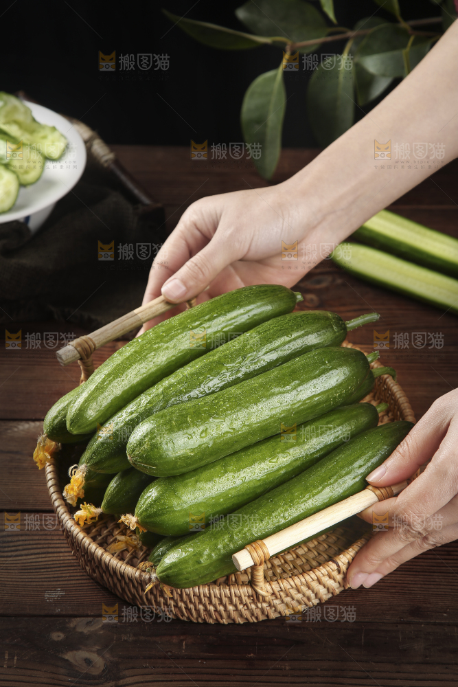 手里端着一篮寿光水果黄瓜