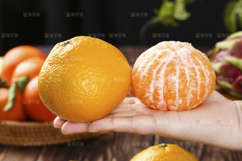 手里拿着桔柚果肉和橘柚对比