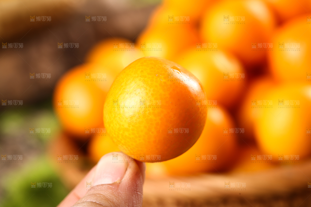 手里拿着金桔