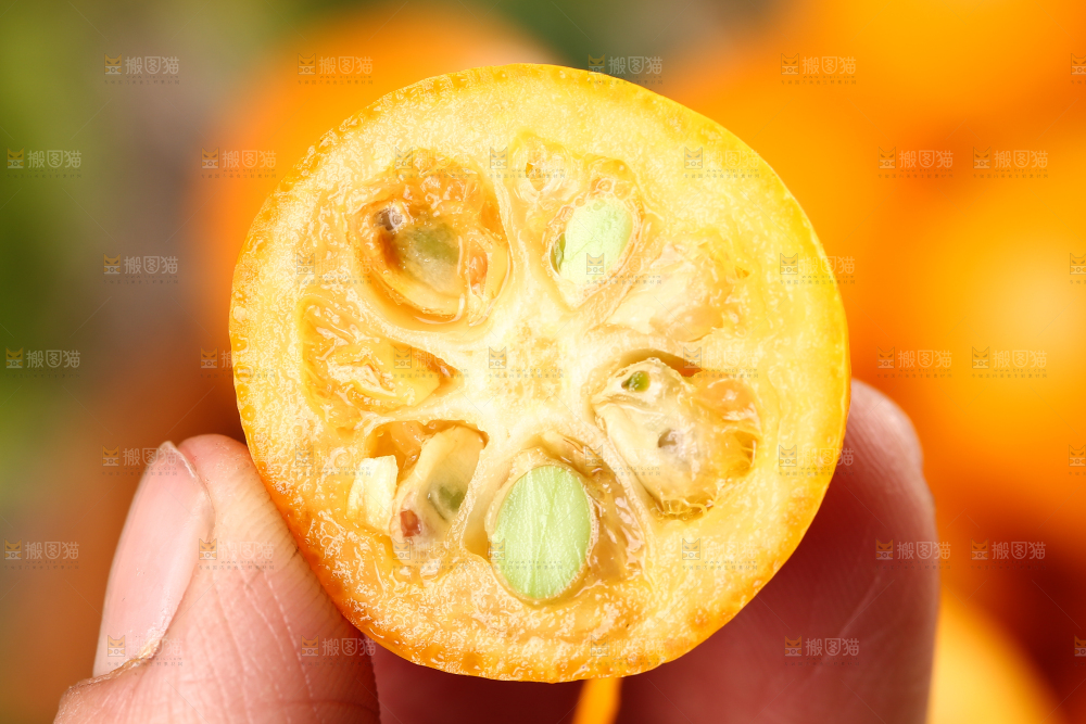 手里拿着金桔