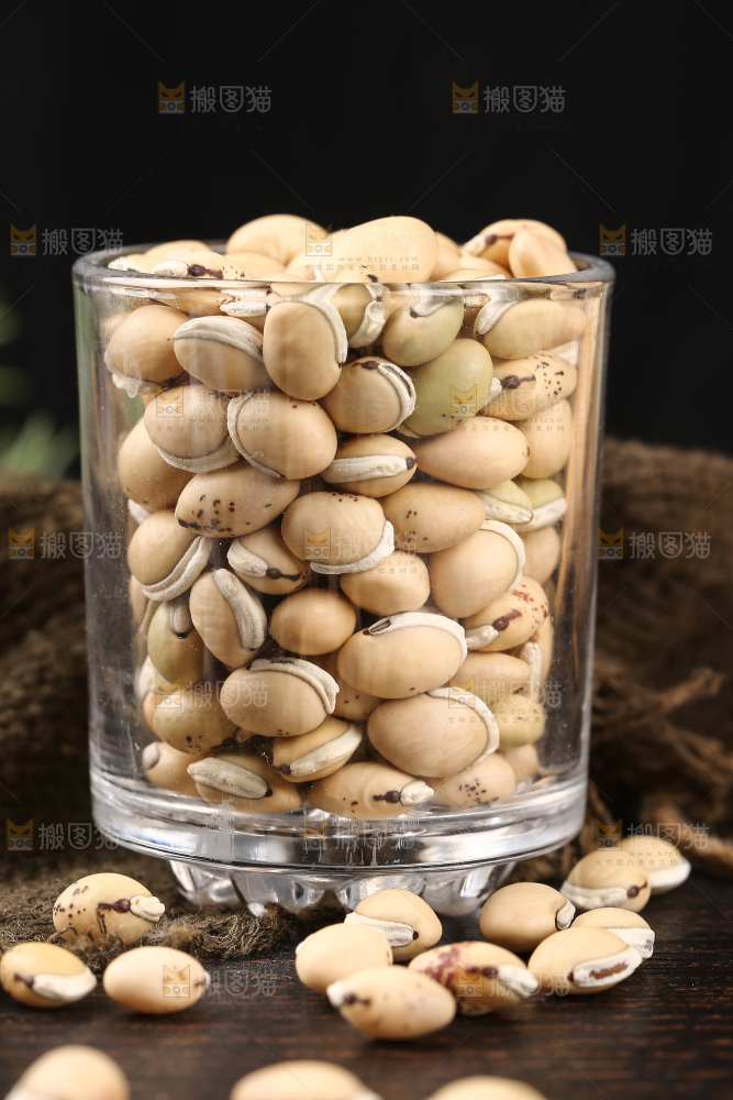 杯子里的白扁豆