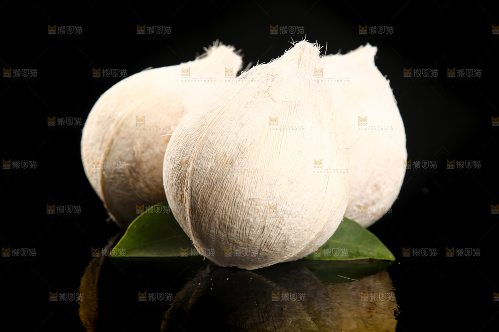 黑底上的牛奶椰子