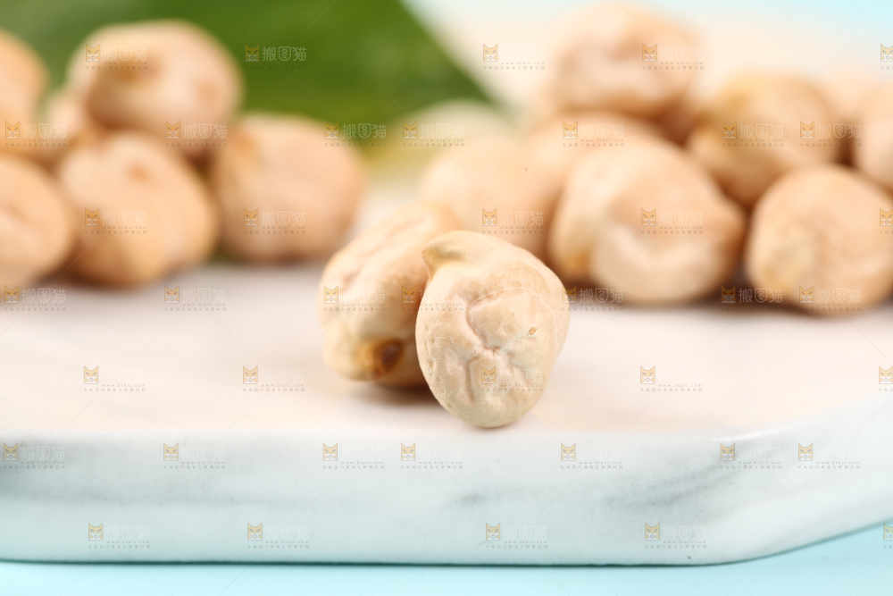 石垫上的新疆鹰嘴豆