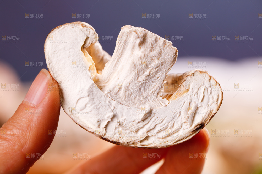 手里拿着冬菇