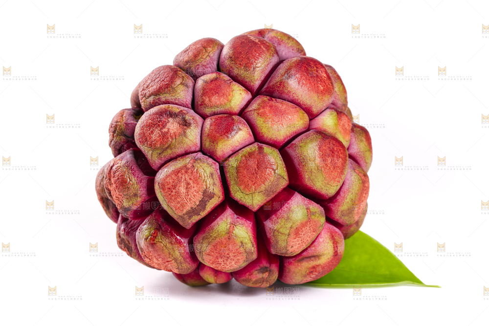 白底上的美容长寿果
