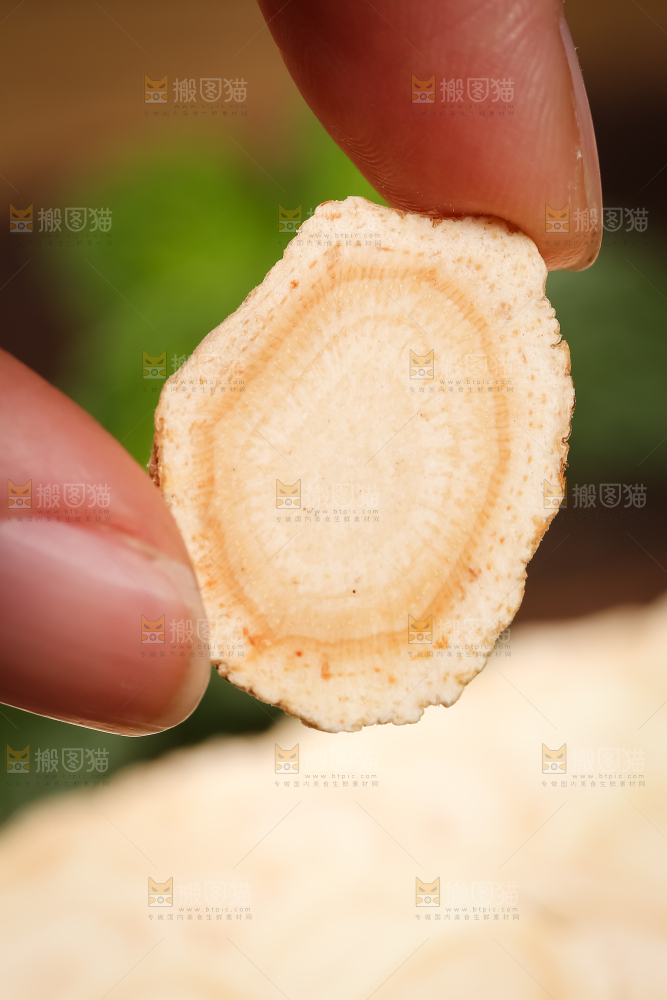 手里拿着西洋参片