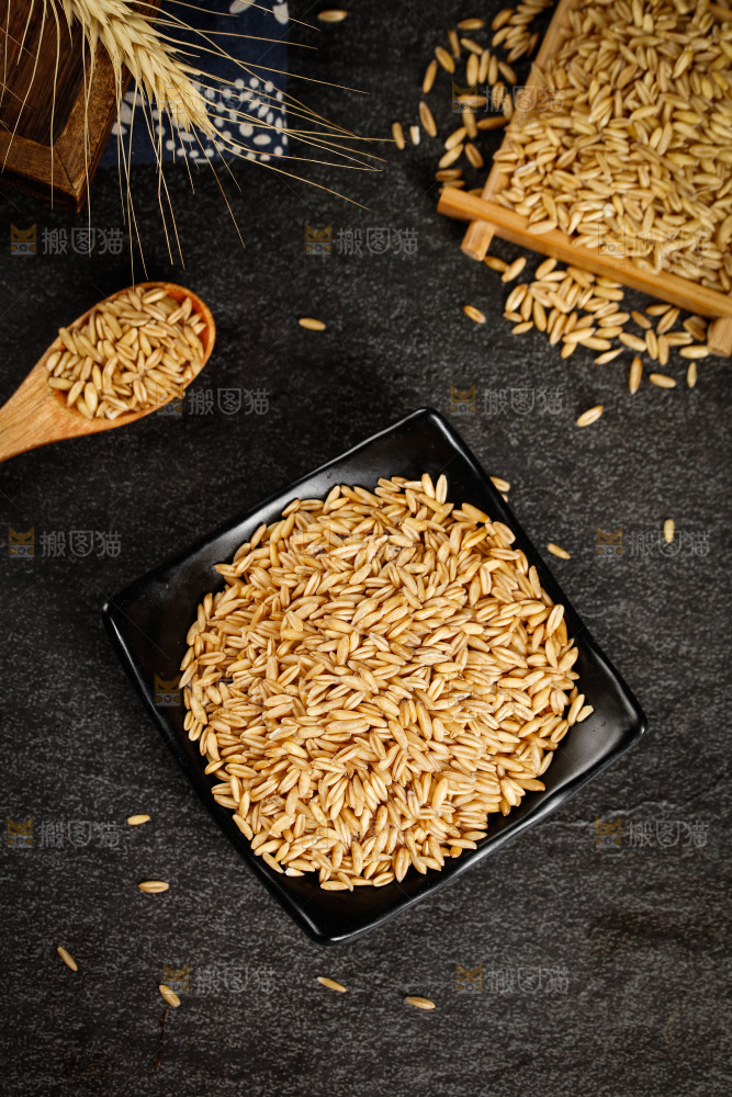 一盘燕麦米摆放在深底上