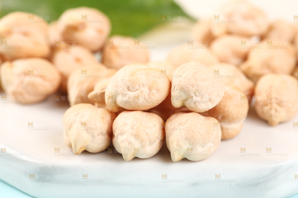 石垫上的新疆鹰嘴豆
