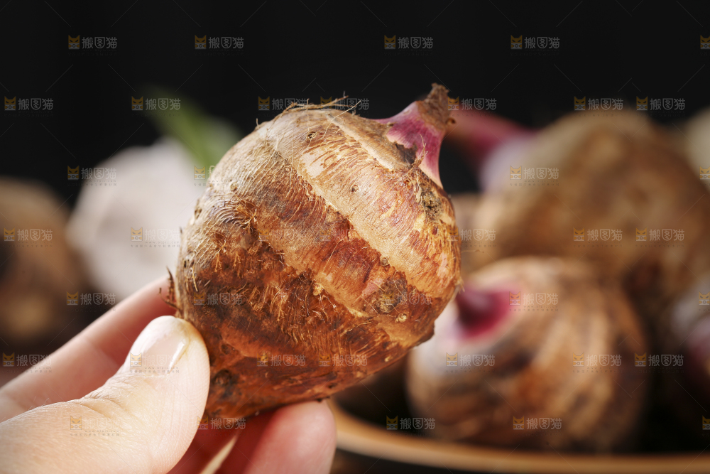 手里拿着红嘴芋头