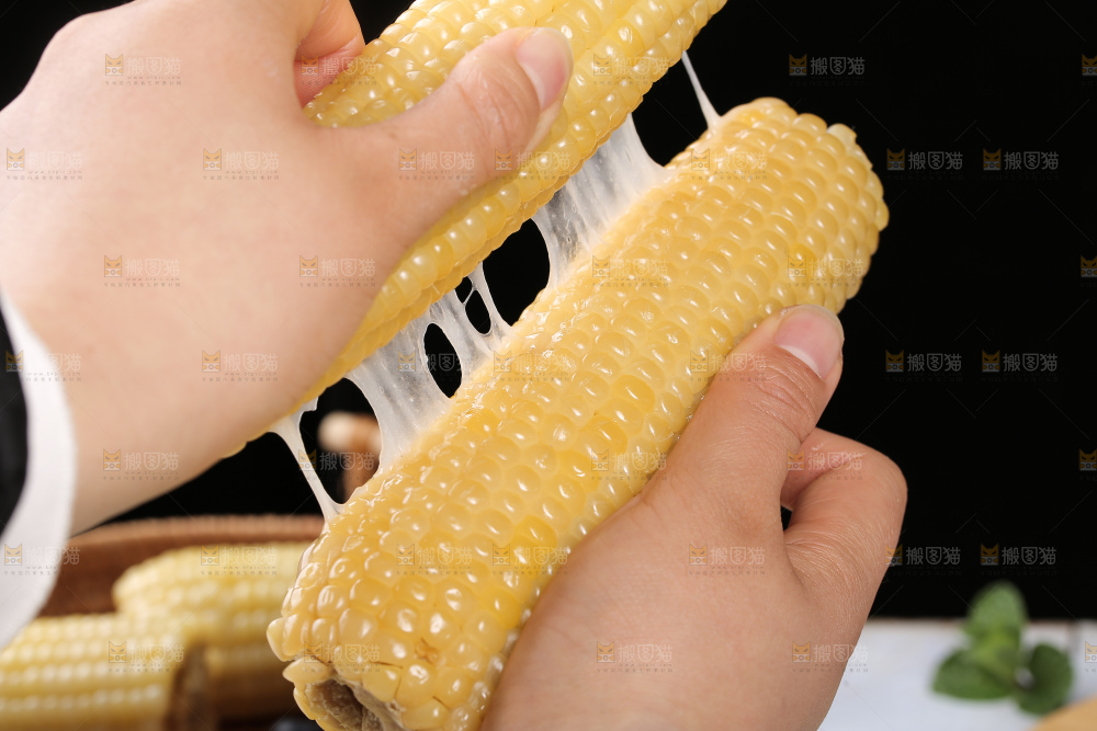 白糯玉米
