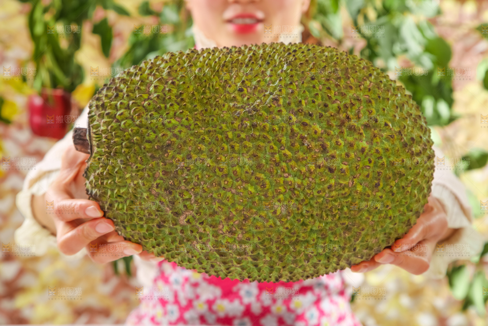 手里抱着菠萝蜜