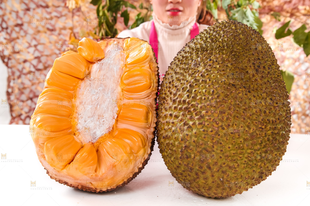 菠萝蜜对比图