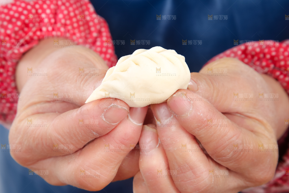 一个包好的饺子