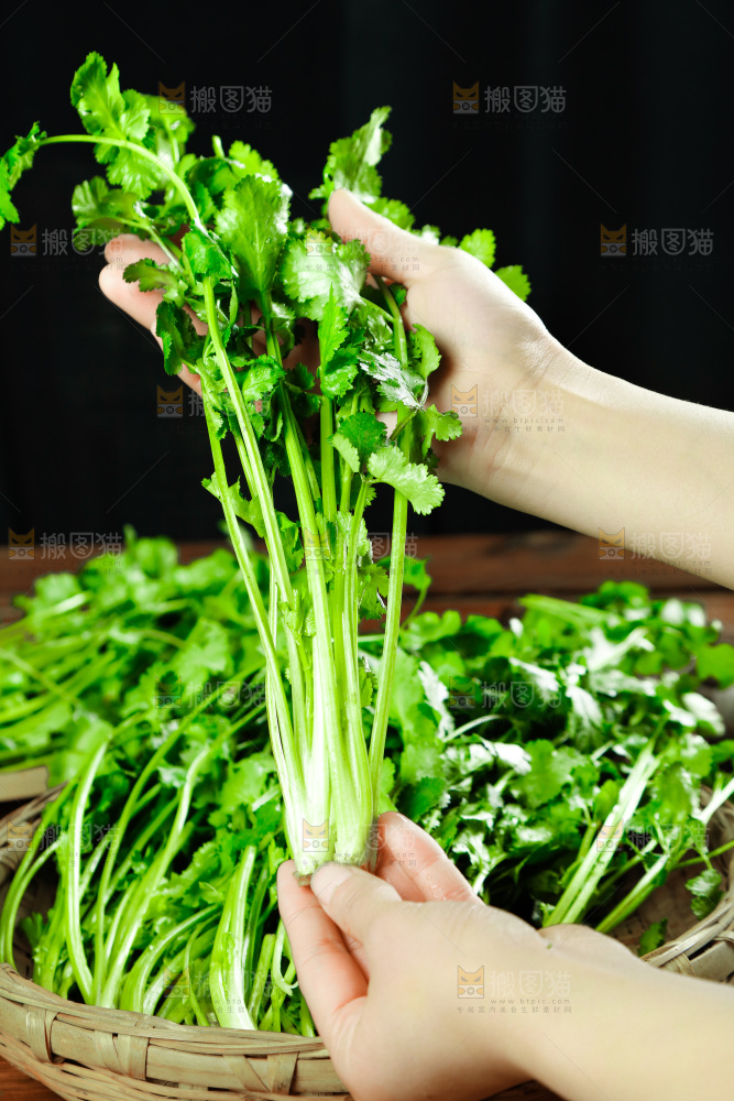 手里拿着小香菜