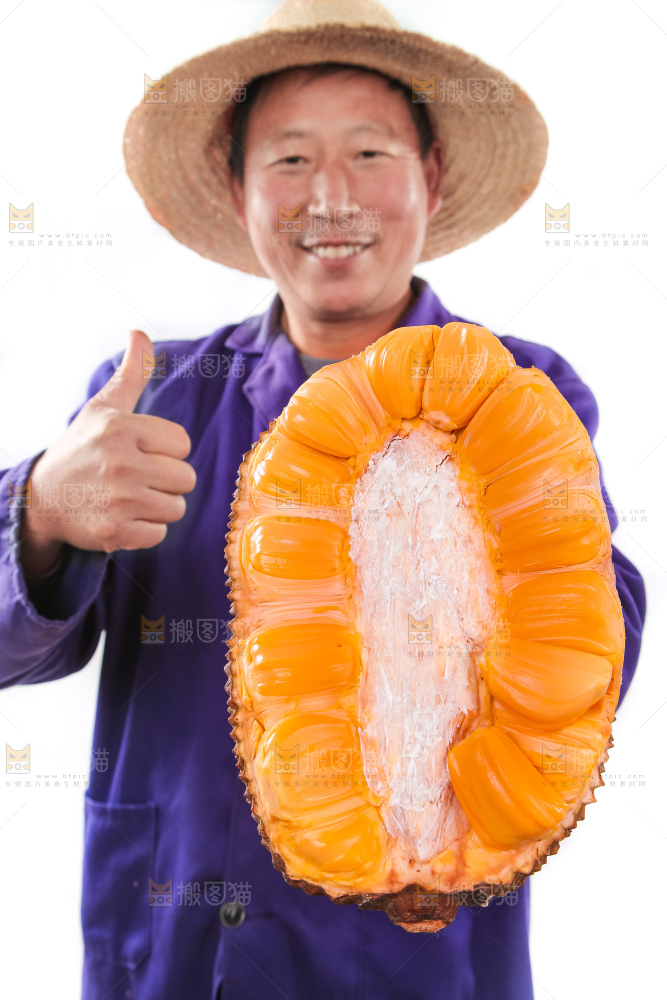 农民手里拿着红肉菠萝蜜
