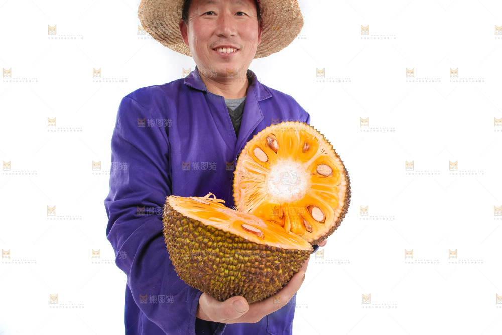 切开的红心菠萝蜜