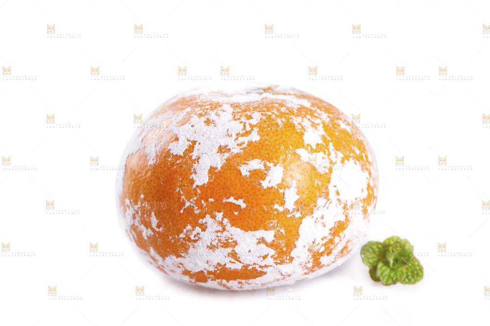 茂谷柑