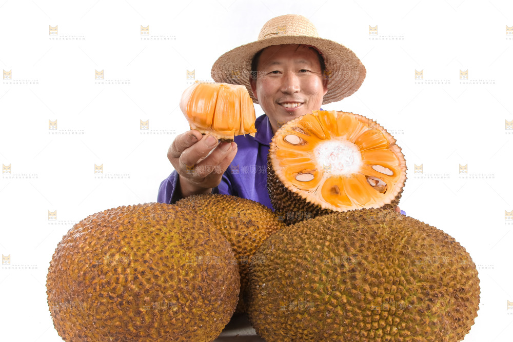 手里拿着红肉菠萝蜜
