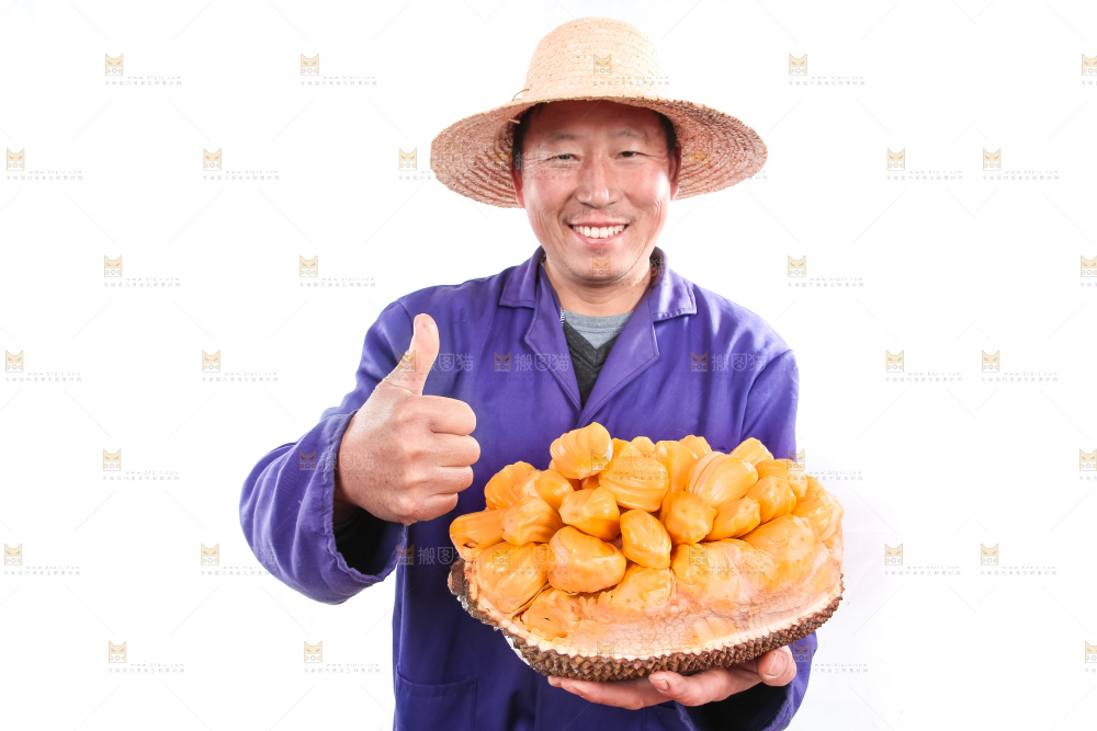 农民手里捧着红肉菠萝蜜