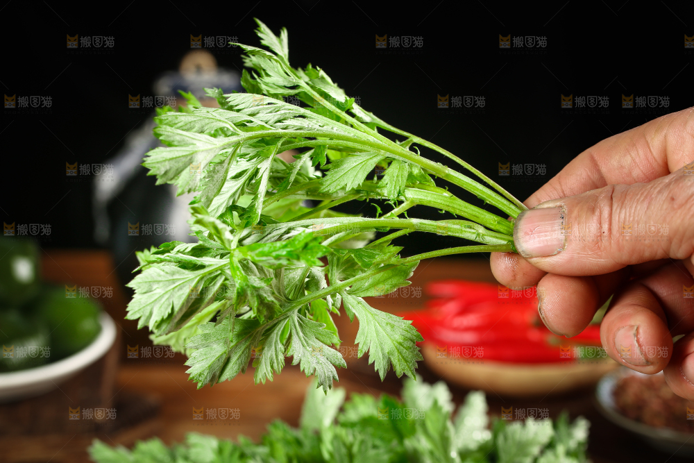 手里拿着艾蒿草
