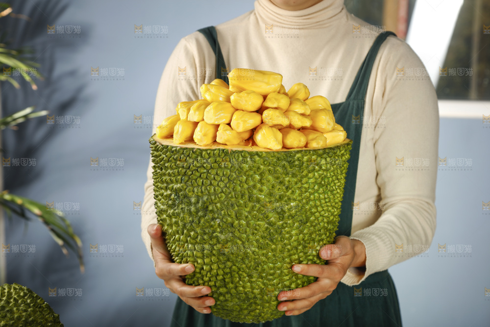 手里抱着海南黄肉菠萝蜜