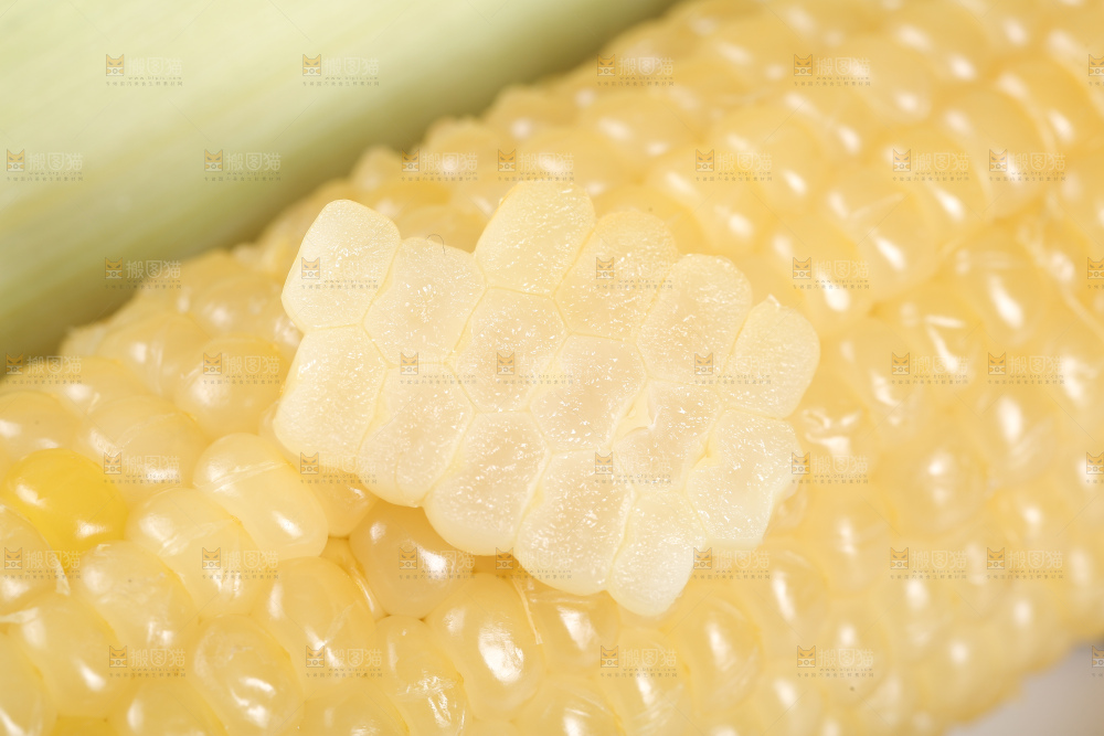 新鲜的甜糯玉米