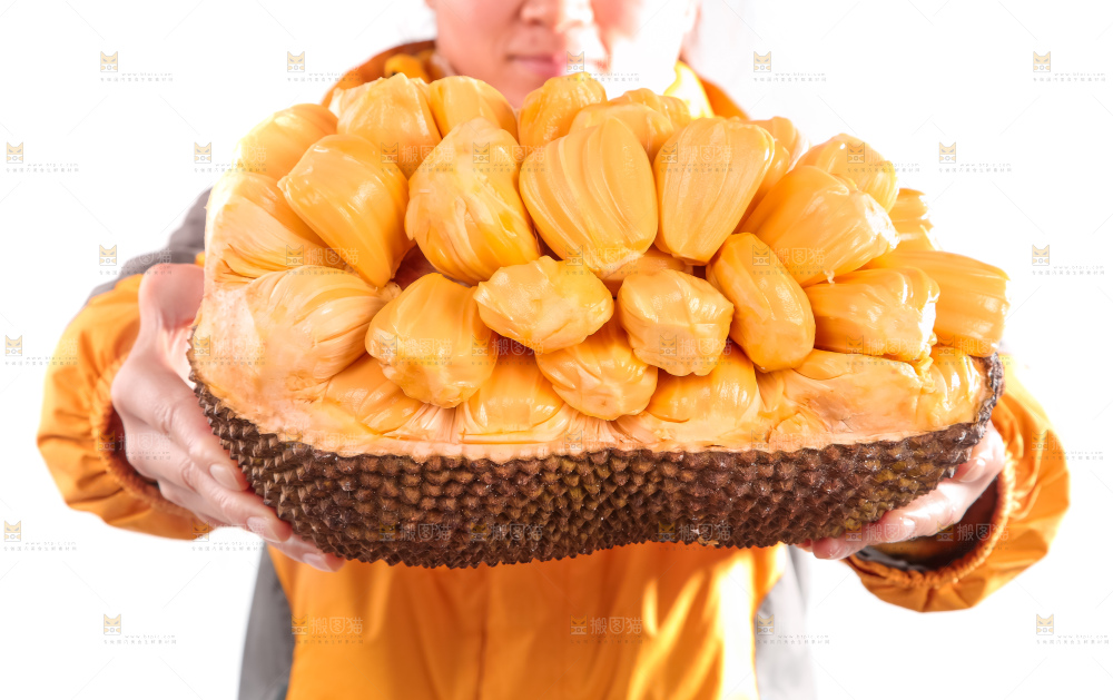 手里捧着红肉菠萝蜜